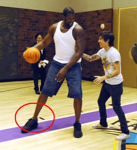 更多来自自 更多来自自