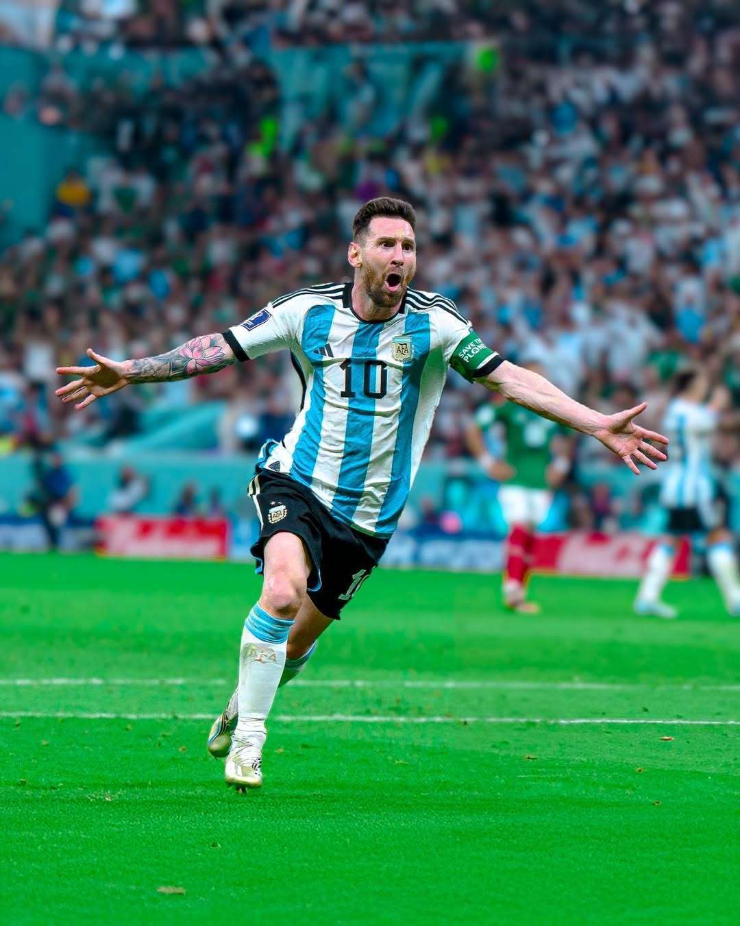 假开大龙 假开大龙